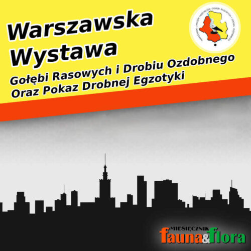 Warsaw Exhibition of Pigeons and Ornamental Poultry, 
